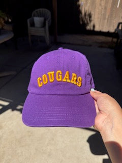 Mascot or Single Word 3D Puff Embroidered Hat